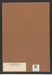 Diatomeae indet. Zeichnungen Sammlung Grunow Mappe 04349 (Herbarium_W_Grunow_drawings_Folder_04349)